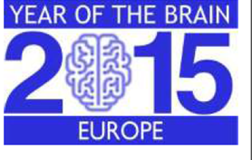 2015_Year of Brain